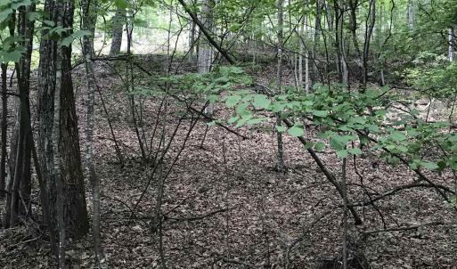 Photo #1 of 43 HIGH VALLEY SOUTH, MONTEREY, VA 5.0 acres