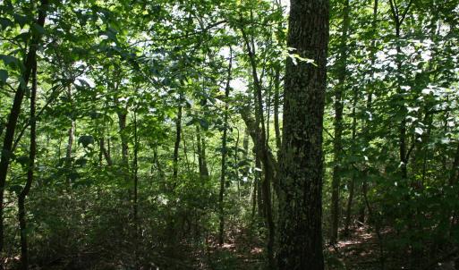 Photo #1 of 43 HIGH VALLEY SOUTH, MONTEREY, VA 5.0 acres