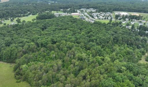 Photo #4 of TBD MARTIN LN, PALMYRA, VA 43.9 acres