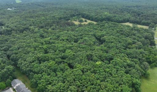 Photo #6 of TBD MARTIN LN, PALMYRA, VA 43.9 acres