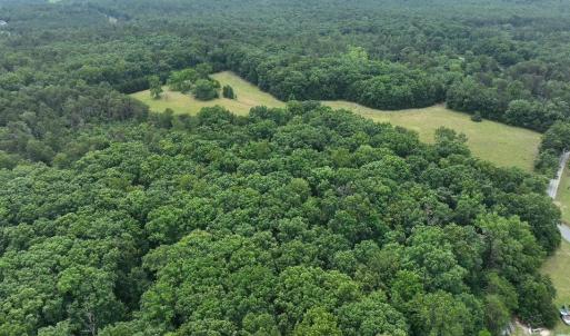 Photo #7 of TBD MARTIN LN, PALMYRA, VA 43.9 acres