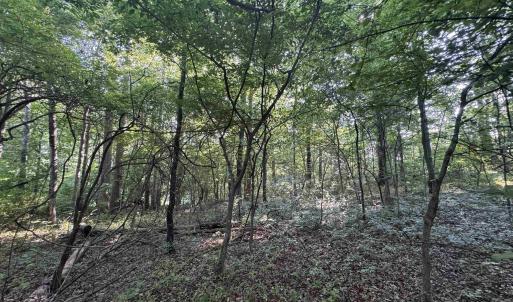 Photo #13 of Lot 4 RODES VALLEY DR, NELLYSFORD, VA 2.8 acres