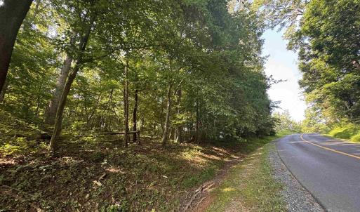 Photo #10 of Lot 4 RODES VALLEY DR, NELLYSFORD, VA 2.8 acres