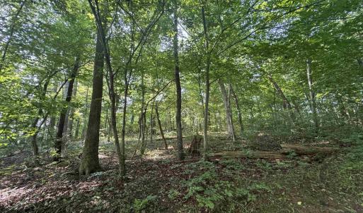 Photo #14 of Lot 4 RODES VALLEY DR, NELLYSFORD, VA 2.8 acres