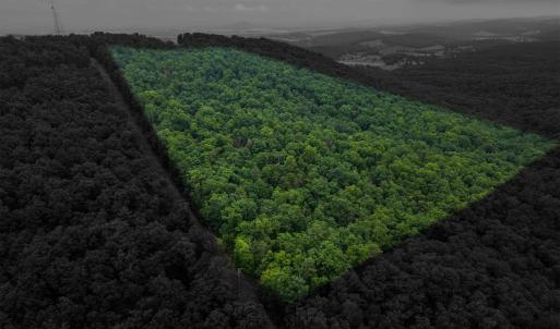 Photo #10 of TOWER MOUNTAIN LN, MOUNT JACKSON, VA 12.5 acres
