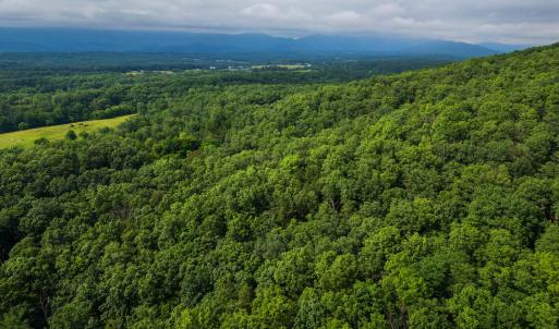 Photo #13 of TOWER MOUNTAIN LN, MOUNT JACKSON, VA 12.5 acres