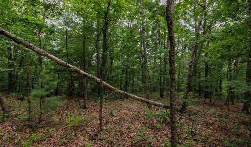 Photo #3 of TOWER MOUNTAIN LN, MOUNT JACKSON, VA 12.5 acres