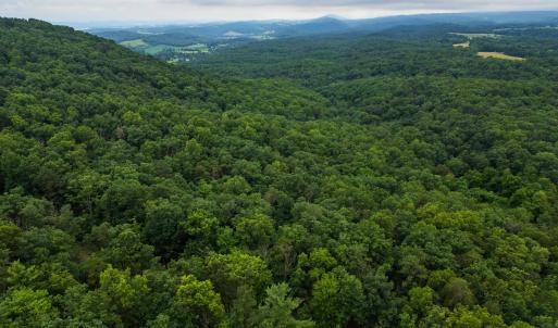 Photo #12 of TOWER MOUNTAIN LN, MOUNT JACKSON, VA 12.5 acres