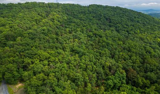 Photo #17 of TOWER MOUNTAIN LN, MOUNT JACKSON, VA 12.5 acres