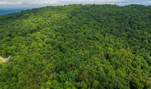 Photo #18 of TOWER MOUNTAIN LN, MOUNT JACKSON, VA 12.5 acres