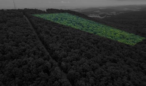 Photo #9 of TOWER MOUNTAIN LN, MOUNT JACKSON, VA 12.5 acres
