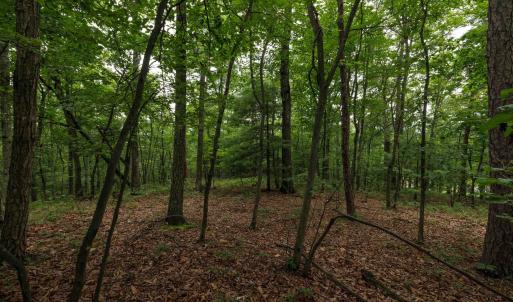 Photo #5 of TOWER MOUNTAIN LN, MOUNT JACKSON, VA 12.5 acres
