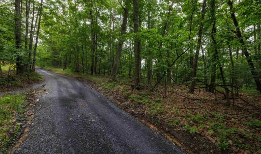 Photo #1 of TOWER MOUNTAIN LN, MOUNT JACKSON, VA 12.5 acres