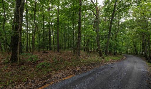 Photo #2 of TOWER MOUNTAIN LN, MOUNT JACKSON, VA 12.5 acres
