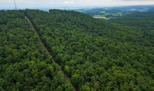 Photo #11 of TOWER MOUNTAIN LN, MOUNT JACKSON, VA 12.5 acres