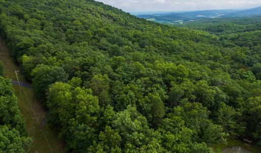 Photo #15 of TOWER MOUNTAIN LN, MOUNT JACKSON, VA 12.5 acres