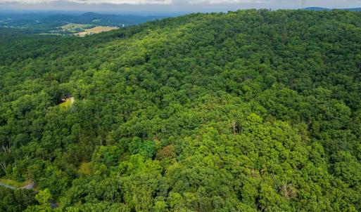 Photo #19 of TOWER MOUNTAIN LN, MOUNT JACKSON, VA 12.5 acres