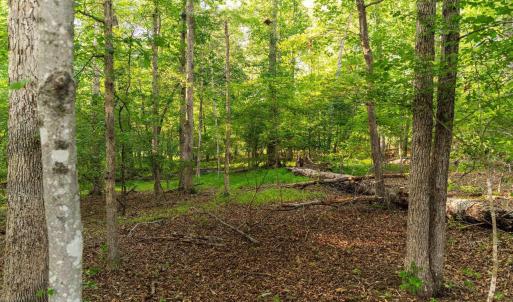 Photo #11 of Lot 13 CLUB DR, KESWICK, VA 3.3 acres