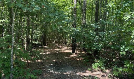 Photo #3 of Lot 6 RICHMOND RD, AMELIA COURT HOUSE, VA 5.8 acres