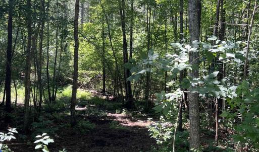 Photo #4 of Lot 6 RICHMOND RD, AMELIA COURT HOUSE, VA 5.8 acres