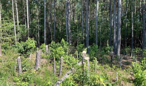 Photo #1 of Lot 6 RICHMOND RD, AMELIA COURT HOUSE, VA 5.8 acres
