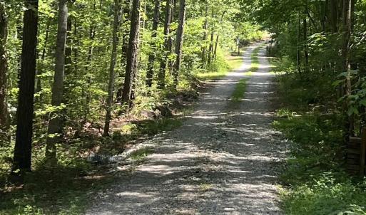 Photo #2 of Lot 6 RICHMOND RD, AMELIA COURT HOUSE, VA 5.8 acres