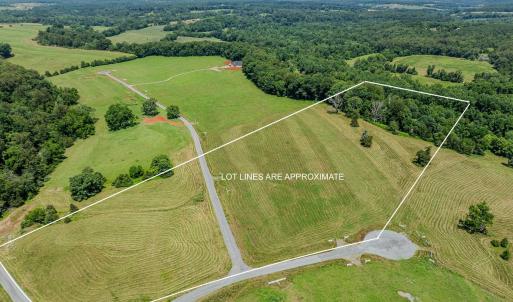10+ acres of pristine land in Greene County with river access!
