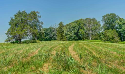 Photo #29 of Lot 23 SUNSET RIDGE, RUCKERSVILLE, VA 10.0 acres