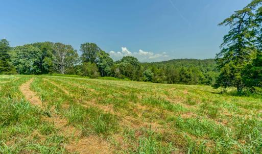 Photo #28 of Lot 23 SUNSET RIDGE, RUCKERSVILLE, VA 10.0 acres