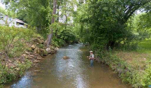 Photo #16 of 7304 DRY RUN RD, BURNSVILLE, VA 79.8 acres
