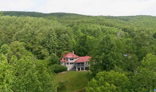 Photo #15 of 7304 DRY RUN RD, BURNSVILLE, VA 79.8 acres