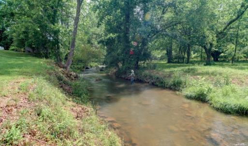 Photo #10 of 7304 DRY RUN RD, BURNSVILLE, VA 79.8 acres