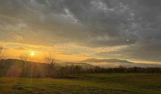 Photo #1 of TBD ROSELAND RD, ROSELAND, VA 5.2 acres