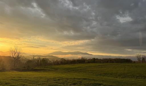 Photo #4 of TBD ROSELAND RD, ROSELAND, VA 5.2 acres