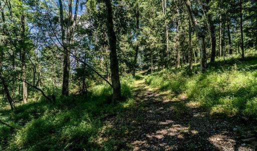Photo #6 of RODEO DR, ROCKINGHAM, VA 9.3 acres