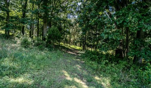 Photo #4 of RODEO DR, ROCKINGHAM, VA 9.3 acres