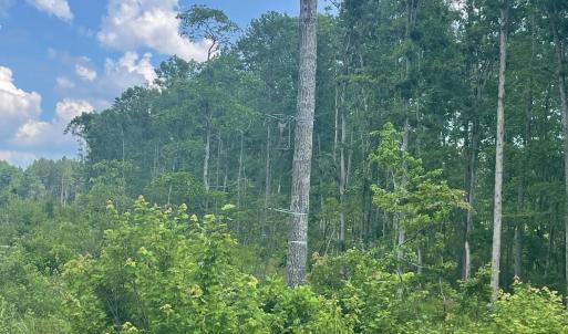 Photo #5 of PASSANTE SR LN, GORDONSVILLE, VA 111.6 acres