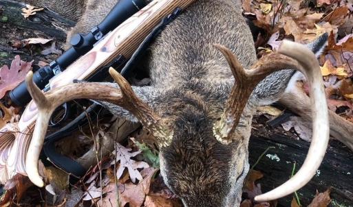 Photo #7 of PASSANTE SR LN, GORDONSVILLE, VA 111.6 acres