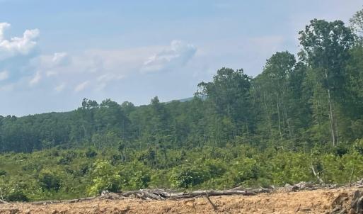 Photo #6 of PASSANTE SR LN, GORDONSVILLE, VA 111.6 acres