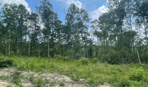 Photo #2 of PASSANTE SR LN, GORDONSVILLE, VA 111.6 acres