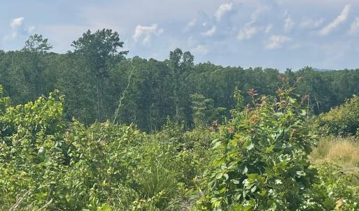 Photo #4 of PASSANTE SR LN, GORDONSVILLE, VA 111.6 acres