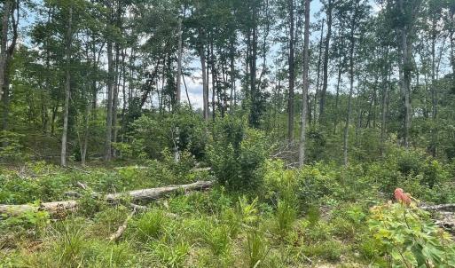 Photo #1 of PASSANTE SR LN, GORDONSVILLE, VA 111.6 acres