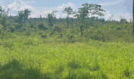 Photo #3 of PASSANTE SR LN, GORDONSVILLE, VA 111.6 acres