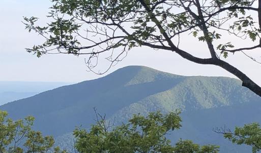 Photo #8 of 186 HEMLOCK DR, ROSELAND, VA 0.6 acres