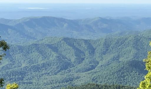 Photo #13 of 186 HEMLOCK DR, ROSELAND, VA 0.6 acres