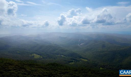 Photo #11 of 186 HEMLOCK DR, ROSELAND, VA 0.6 acres