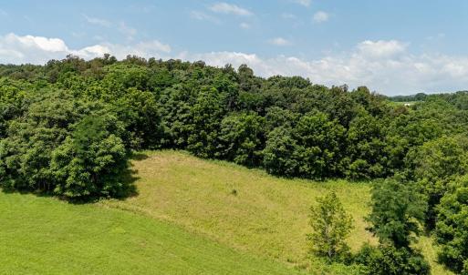 Photo #20 of TBD WILLIAMSBURG RD, LINVILLE, VA 10.0 acres