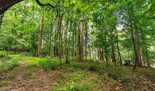 Photo #11 of TBD WILLIAMSBURG RD, LINVILLE, VA 10.0 acres