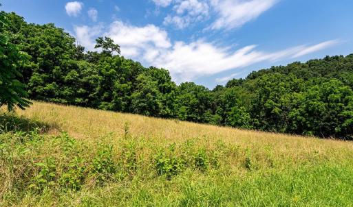Photo #6 of TBD WILLIAMSBURG RD, LINVILLE, VA 10.0 acres