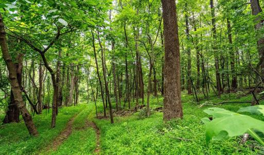Photo #17 of TBD WILLIAMSBURG RD, LINVILLE, VA 10.0 acres